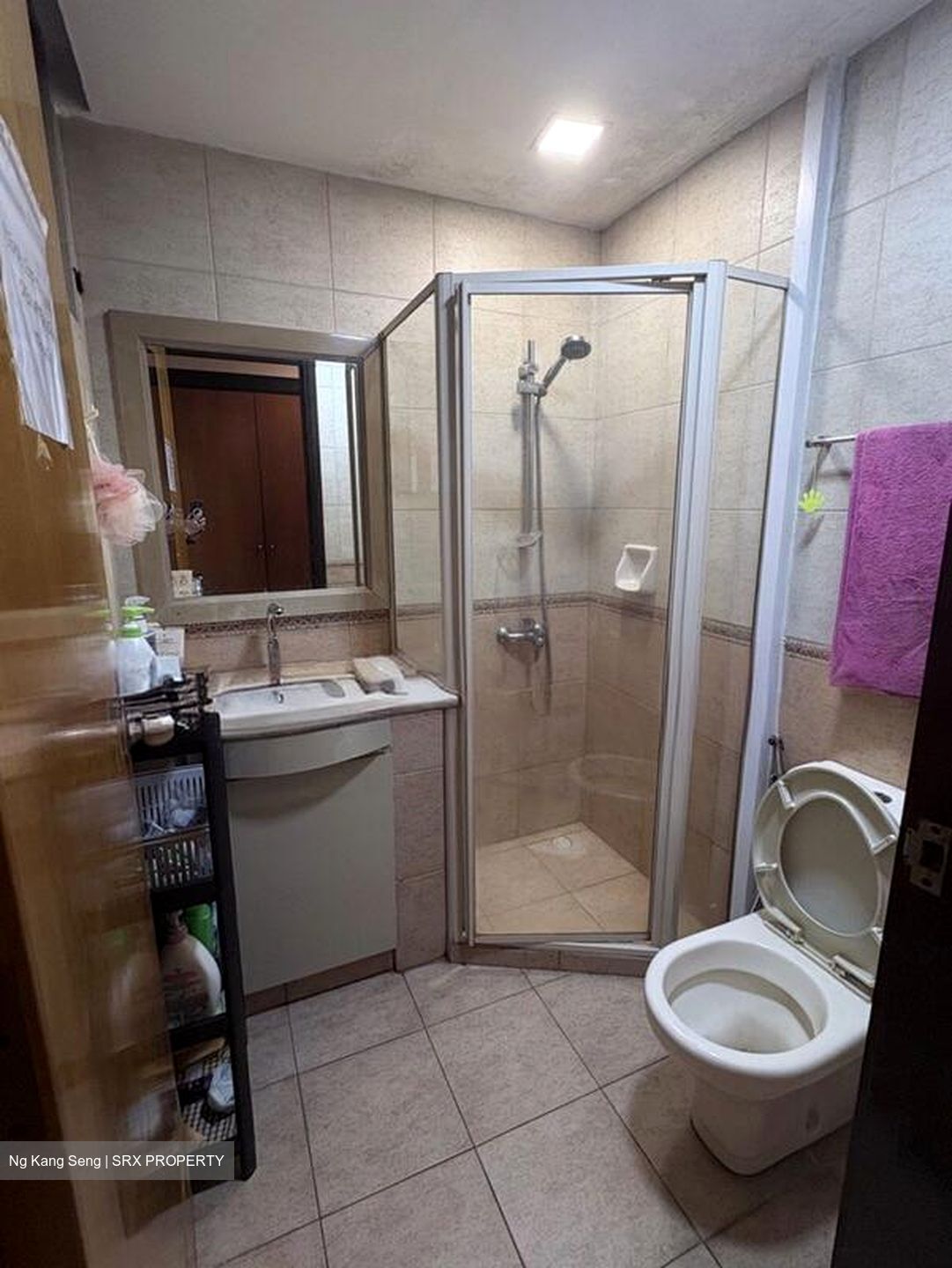 Regent Heights (D23), Condominium #523770351